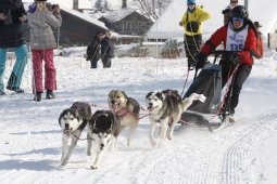 Lenk 2012 SM